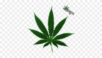 Marijuana Leaf Clip Art - Cannabis Leaf