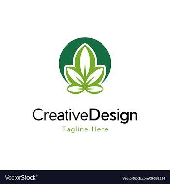 Marijuana leaf growth creative logo design vector image