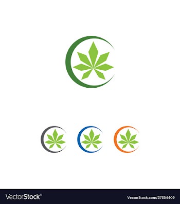 Marijuana leaf logo design template vector image