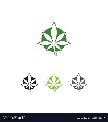 Marijuana leaf logo design template vector image