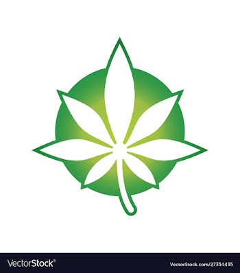 Marijuana leaf logo design template vector image