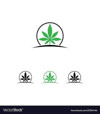 Marijuana leaf logo design template vector image