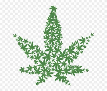 Marijuana Leaf Png Hd