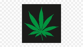 Marijuana Leaf Vector Memes - Pot Leaf