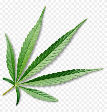 Marijuana - Medical Cannabis