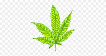 Marijuana Warning Marijuana Leaf - Da Foia Da Maconha