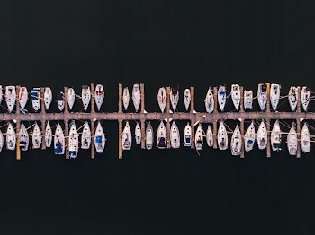 Marina Arial View