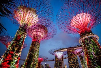Marina Bay Garden Singapore