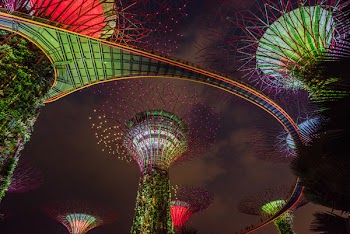Marina Bay Garden Singapore