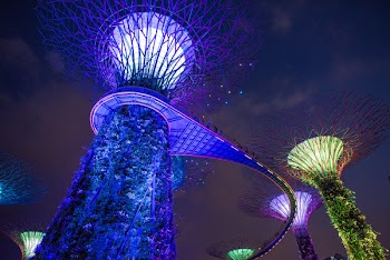 Marina Bay Garden Singapore
