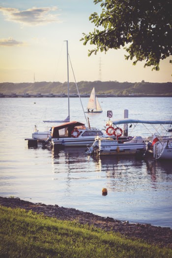Marina by sunset