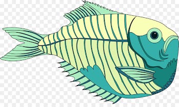 Marine biology Ecosystem Clip art Coral reef fish Illustration - fish fish 