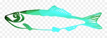 Marine biology Marine mammal Cartilaginous fishes Fin Product design -  