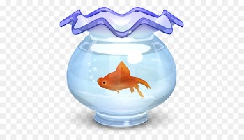 marine biology marine mammal fish plastic - Kingyobati Full 