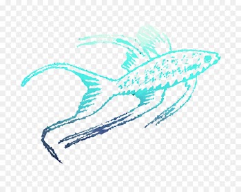 Marine biology Marine mammal Illustration Graphics -  