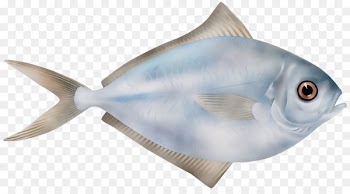 Marine biology Marine mammal Milkfish -  
