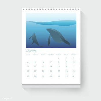Marine calendar | Free stock vector - 389935