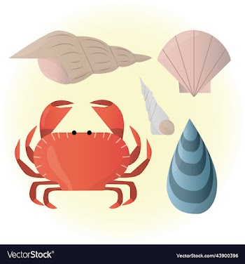 marine collection in the form of a crab