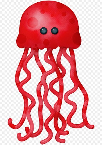 marine invertebrates octopus jellyfish cnidaria giant pacific octopus