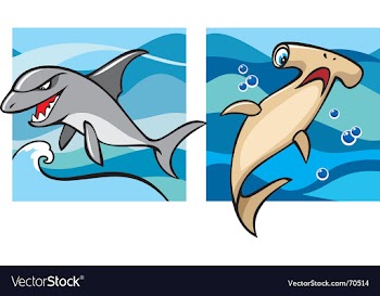 Marine life sharks vector image