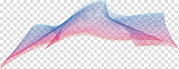 Marine mammal Angle, Colored lines transparent background PNG clipart