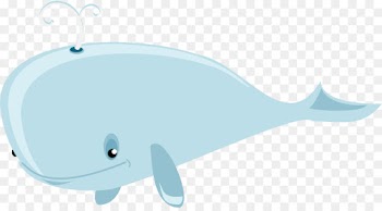 marine mammal fish cetacea whale fish