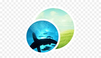 marine mammal organism aqua - App Preview 