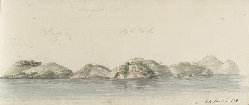 Marine sketch | Free Photo - rawpixel