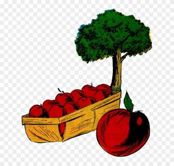 Market Apple Farm Tree Apple Tree Vintage - Vintage Illustration Apple Tree