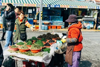 Market women selling at the Pusan fish market