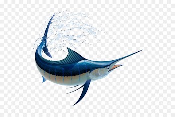 Marlin fishing Atlantic blue marlin Billfish Vector graphics White marlin - orca underwater fishes 