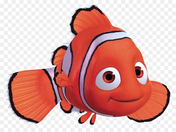 Marlin Pixar Film Clip art - starfish 