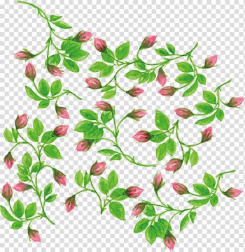Maroon and green plants illustration, Watercolor painting Flower, Water color romantic flower vine transparent background PNG clipart