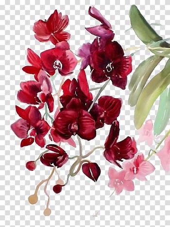Maroon flowers illustration, Watercolor painting Watercolor: Flowers Watercolour Flowers Orchids, Red flowers transparent background PNG clipart