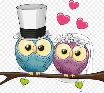Marriage Drawing Love Royalty-free - owls 