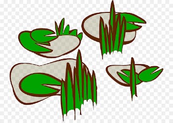 Marsh, Swamp, Drawing, Leaf, Plant PNG