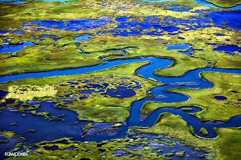 Marshlands | Free public domain photo - 434591