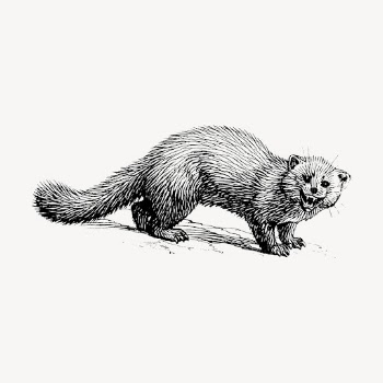 Marten hand drawn clipart, animal | Free Vector - rawpixel