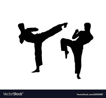 					Martial art silhouettes vector image														