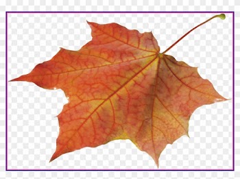 Marvelous Autumn Leaves Solo Left Transparent Png Image - Autumn Leaf Png