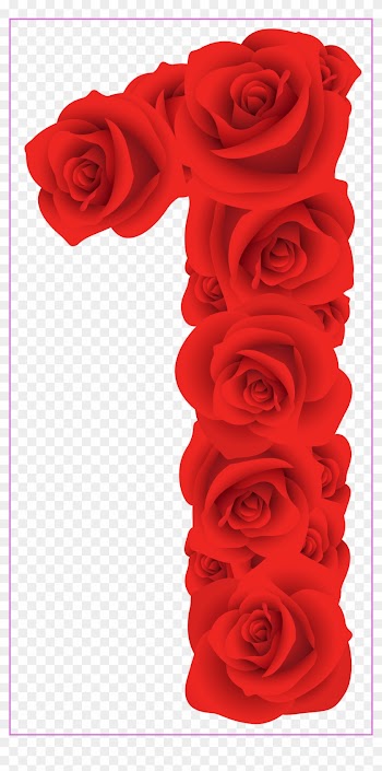 Marvelous Pin By Ira Ilona On Dlja Vchitelja Shkola - Red Roses Number One