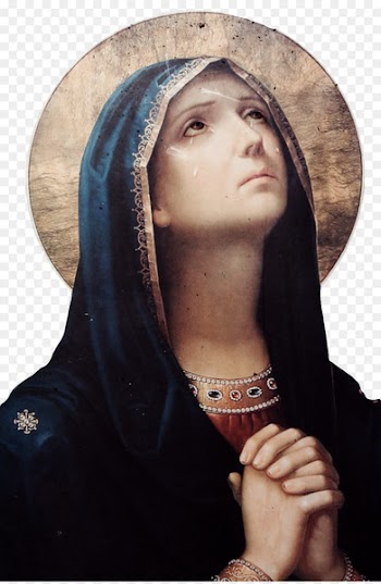Mary Our Lady of Sorrows Rosary Prayer Chaplet - virgin mary printing 