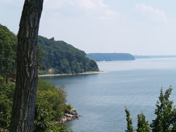 marykbaird_P8170086.JPG