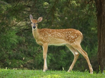 marykbaird_P8170116.JPG