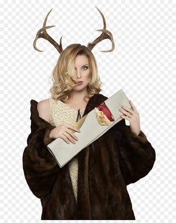 Maryse Ouellet Woman Diary LiveInternet Portable Network Graphics - yandexby 
