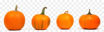 Mashed pumpkin Pumpkin pie Pumpkin Spice Latte Food - pumpkin 