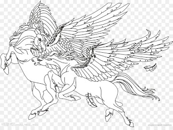 Mashimaro Drawing Cartoon Painting - Pegasus 