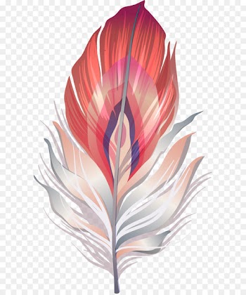 Mask Carnival Masquerade ball Illustration - Exquisite color feather 