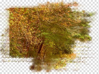 Mask Matte, autumn transparent background PNG clipart