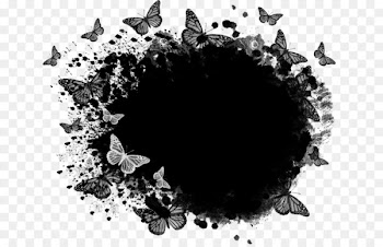 Mask Photography - Black Butterfly border 